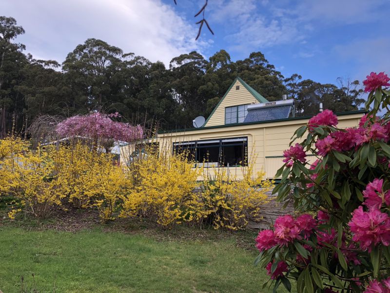 For Sale By Owner 124 O'Neills Rd, Gowrie Park, TAS 7306