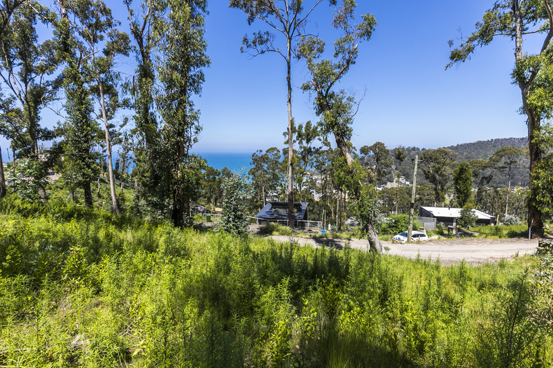 63 Karingal Drive, Wye River, VIC, Wye River - Thumbnail 5
