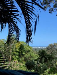 10 Griffith Lane Buderim QLD, Buderim - Thumbnail 6