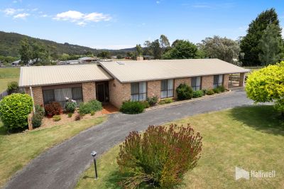 3 Rundle Road, Stony Rise, Stony Rise - Thumbnail 2
