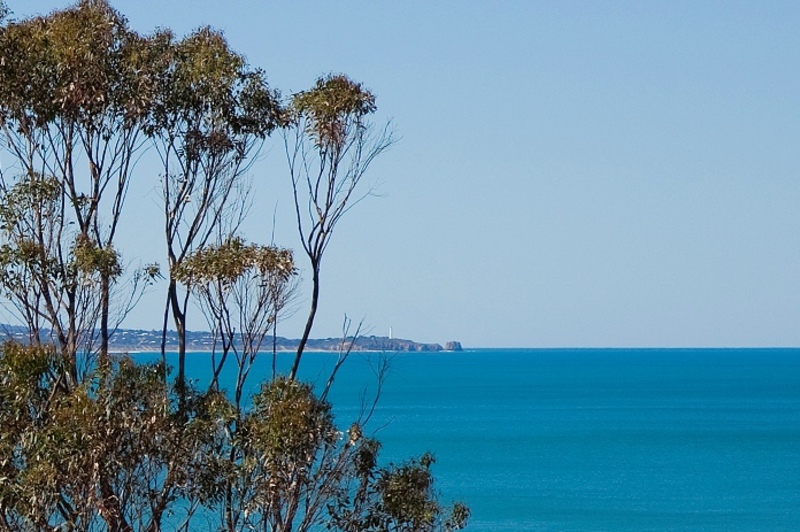 14 Dorman Street, Lorne, VIC, Lorne - Thumbnail 2