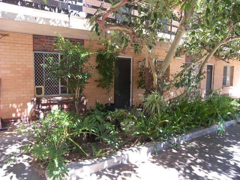 3/302 Young Street Wayville 5034