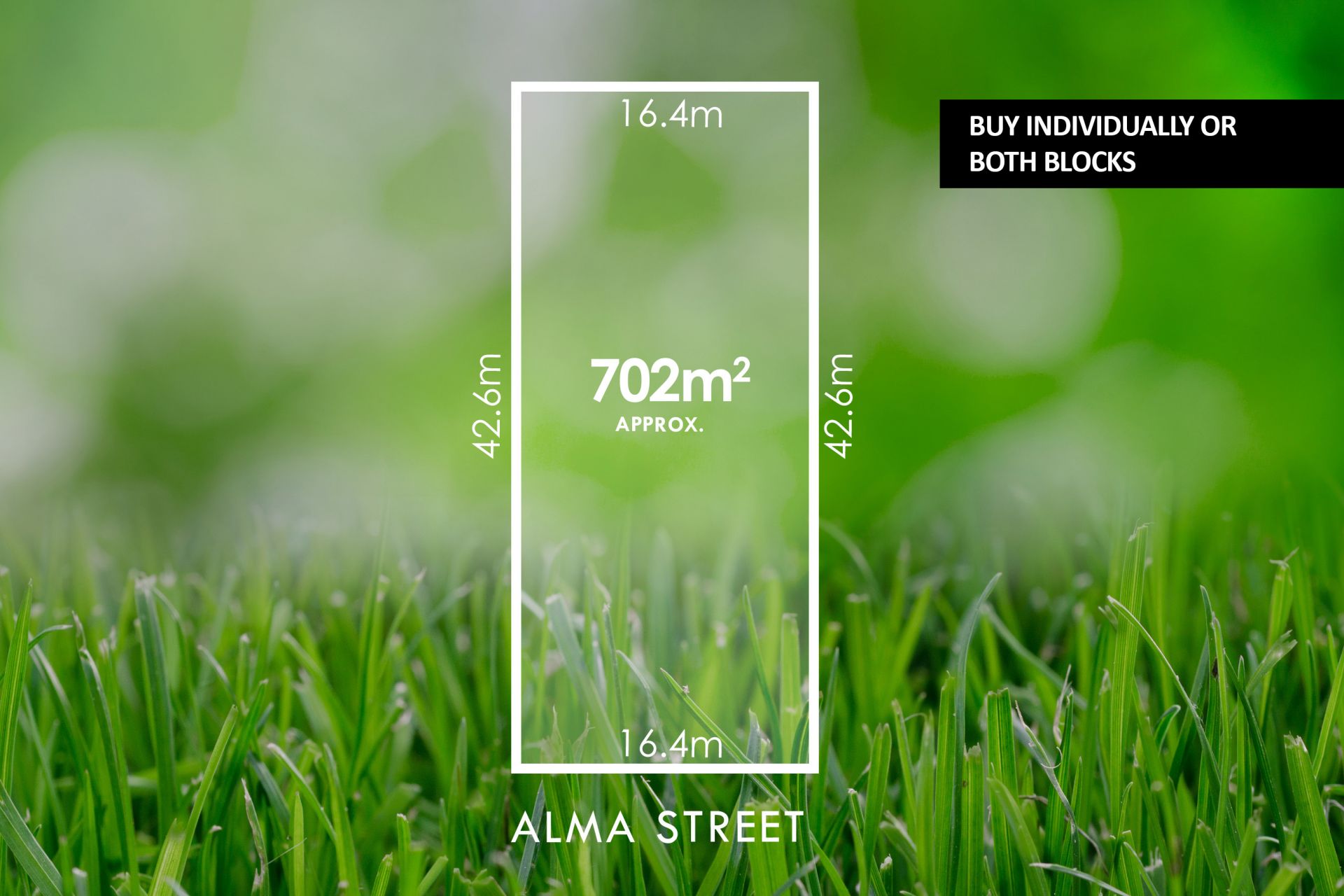 7 Alma Street, Hectorville - Thumbnail 3
