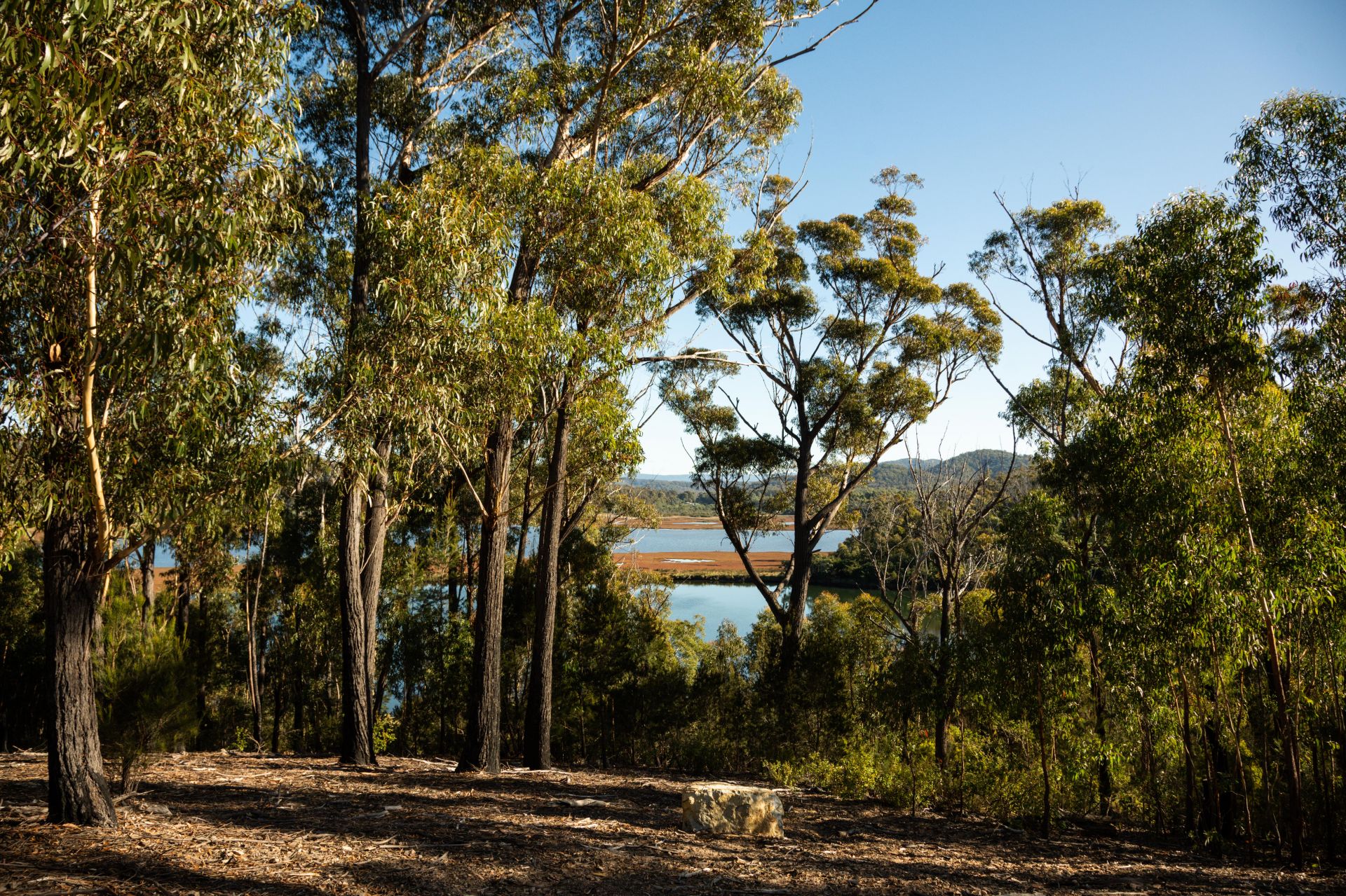 141 Riverview Road, Scamander Harrison Agents