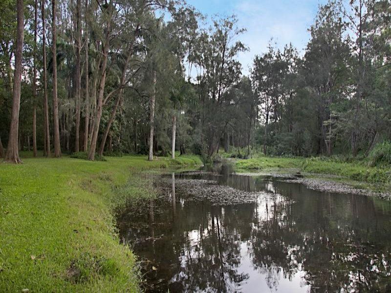 42 Coorabin Court TALLEBUDGERA QLD, Tallebudgera - Thumbnail 4