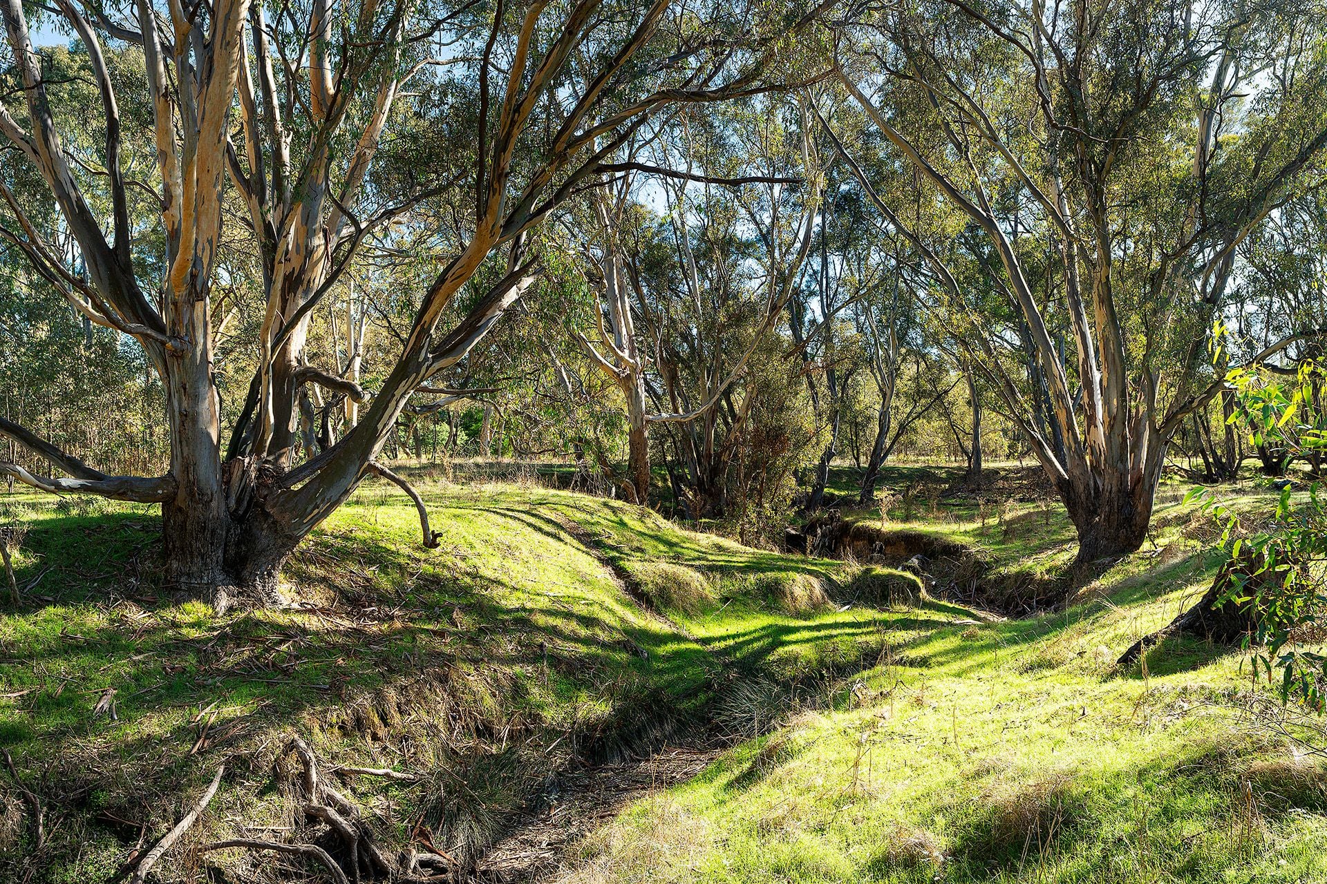 147 Sandy Creek Road, Maldon - Thumbnail 3