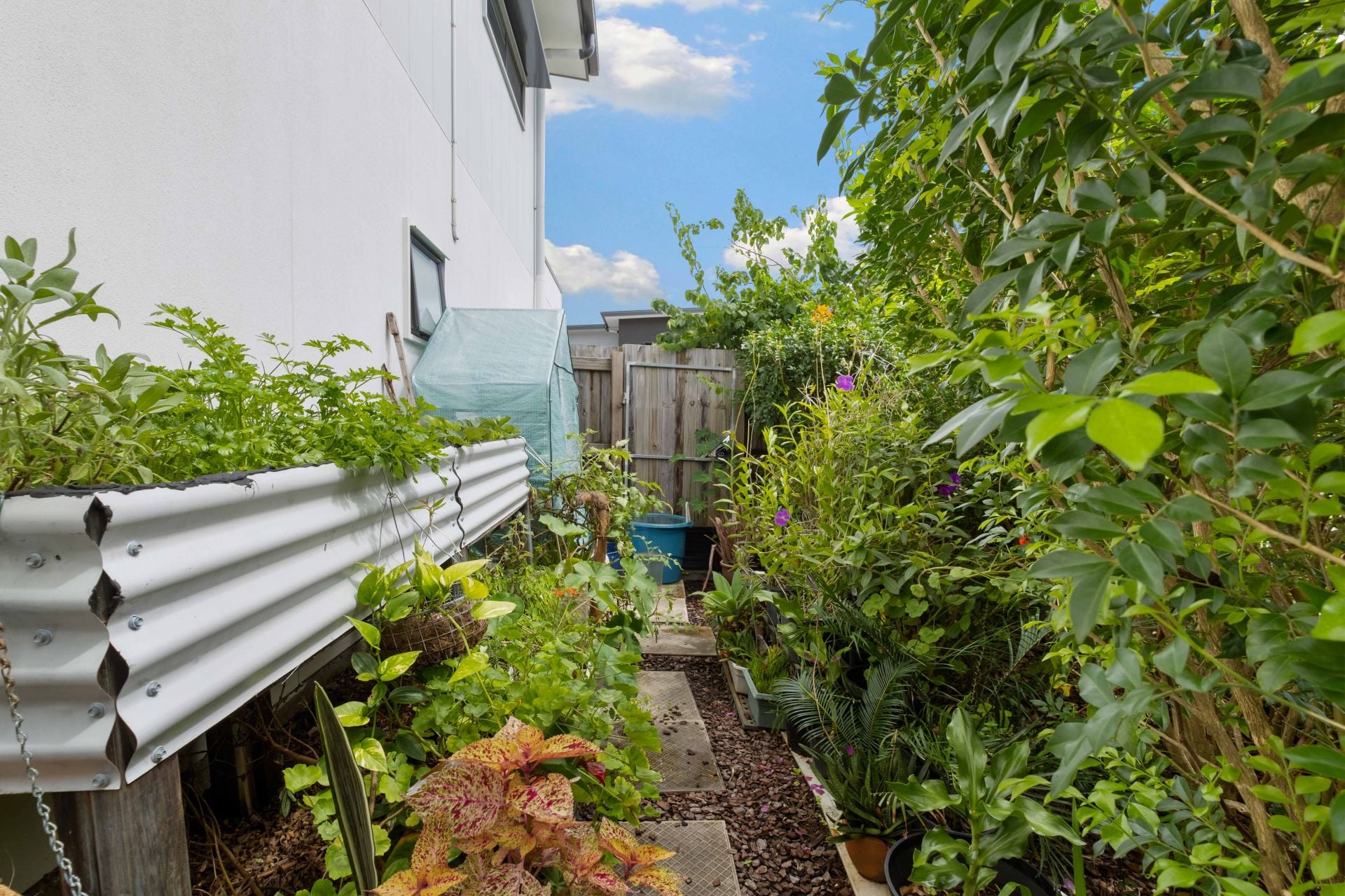 41/44 Fairmeadow Road Nambour QLD, Nambour - Thumbnail 8