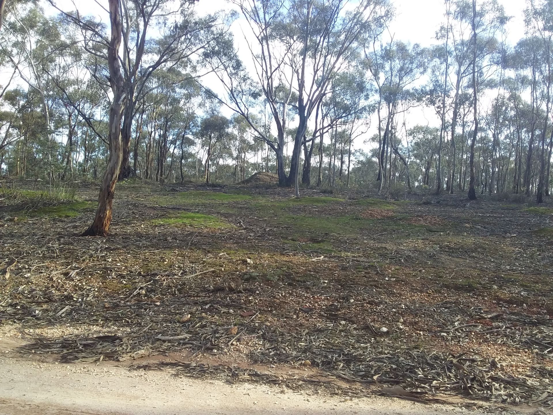 Lot 3 Alice Street, Dunolly Priority1 Property