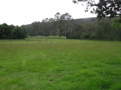 3
 
 
 
  
 
 
 1
 
 
 
  
 
 
 2
 
 
 
 
 
 
 
 760 Wilmot Road, FORTH TAS 7310, Forth - Thumbnail 3