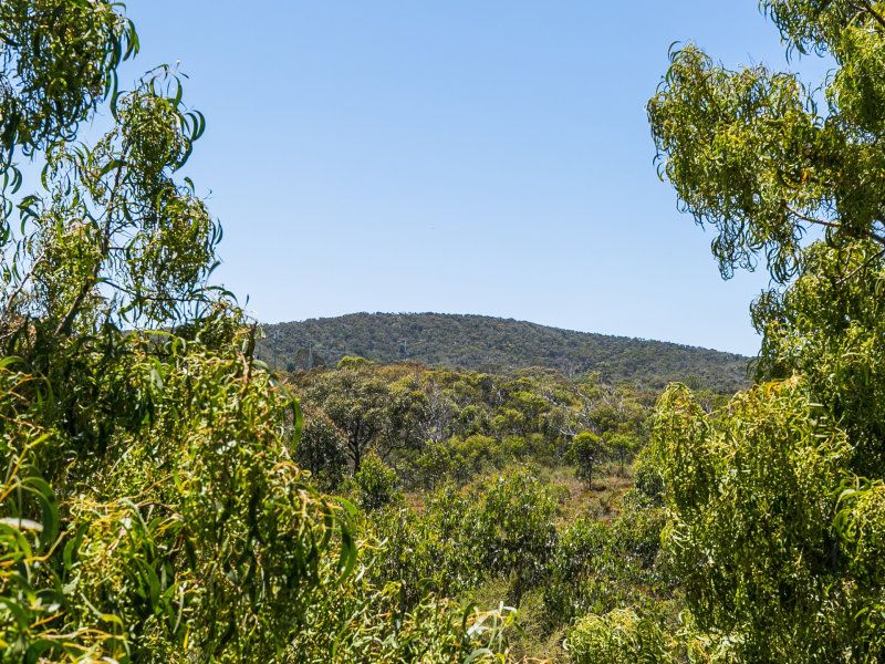 5/31 Purnell Street, Anglesea, VIC, Anglesea - Thumbnail 8