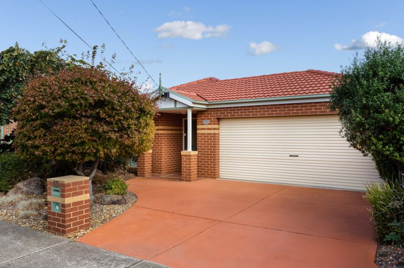 Be Captivated By What Is On Offer!