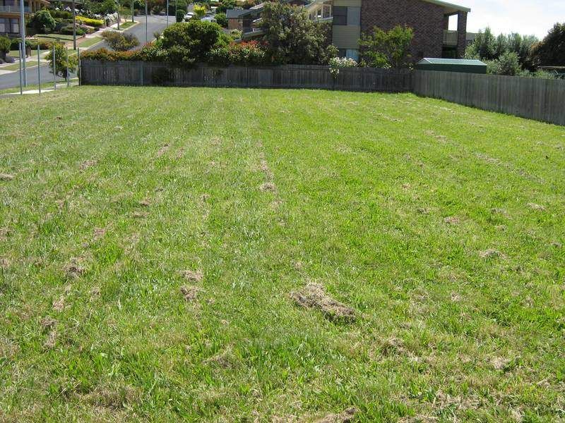 143 Ronald Street, DEVONPORT, Devonport - Thumbnail 8