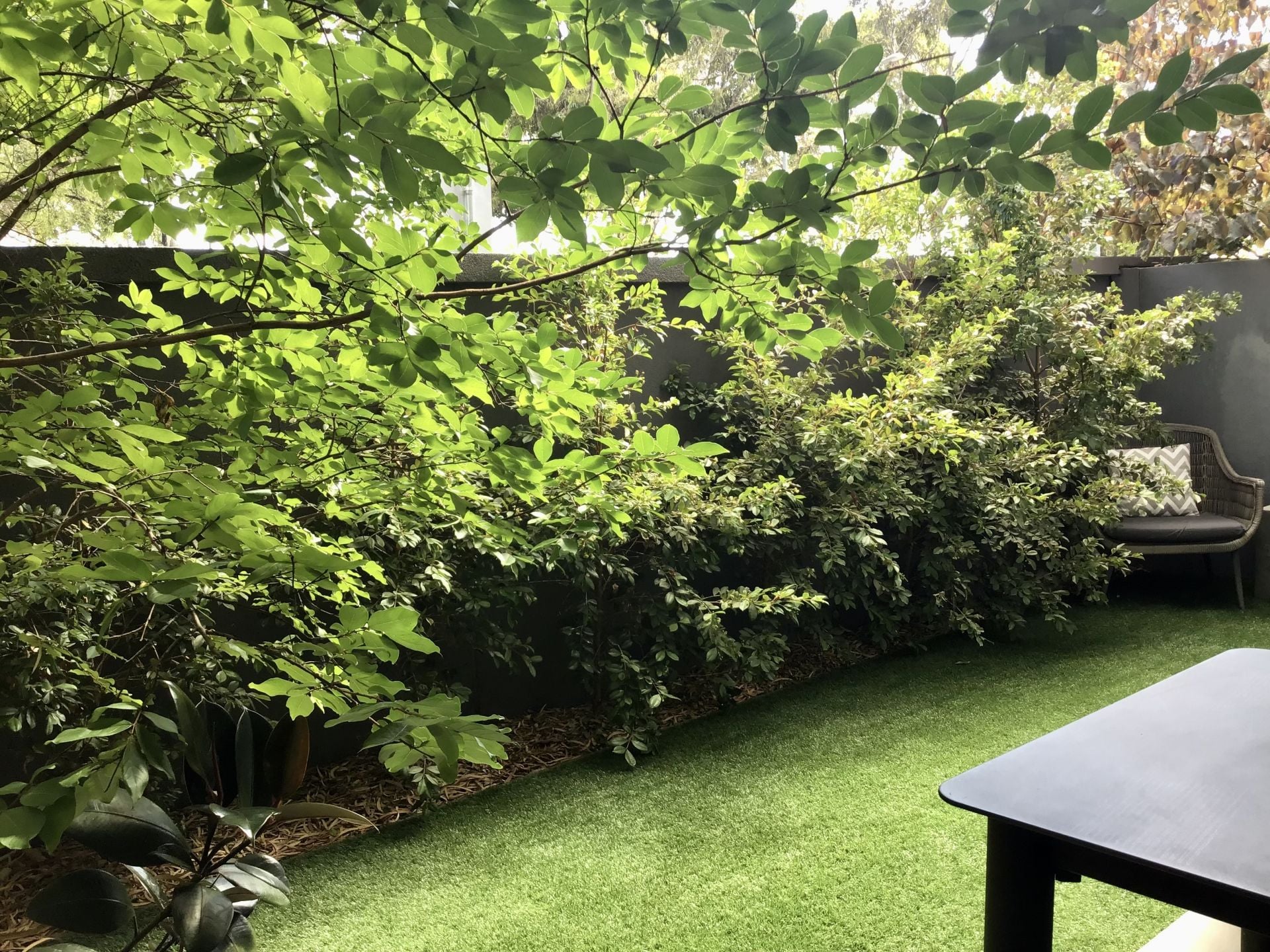 Courtyard Living