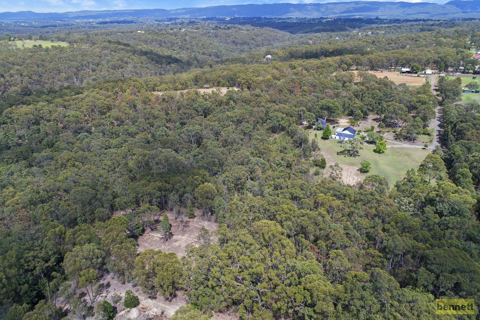 Blaxlands Ridge, NSW, Blaxlands Ridge - Thumbnail 8