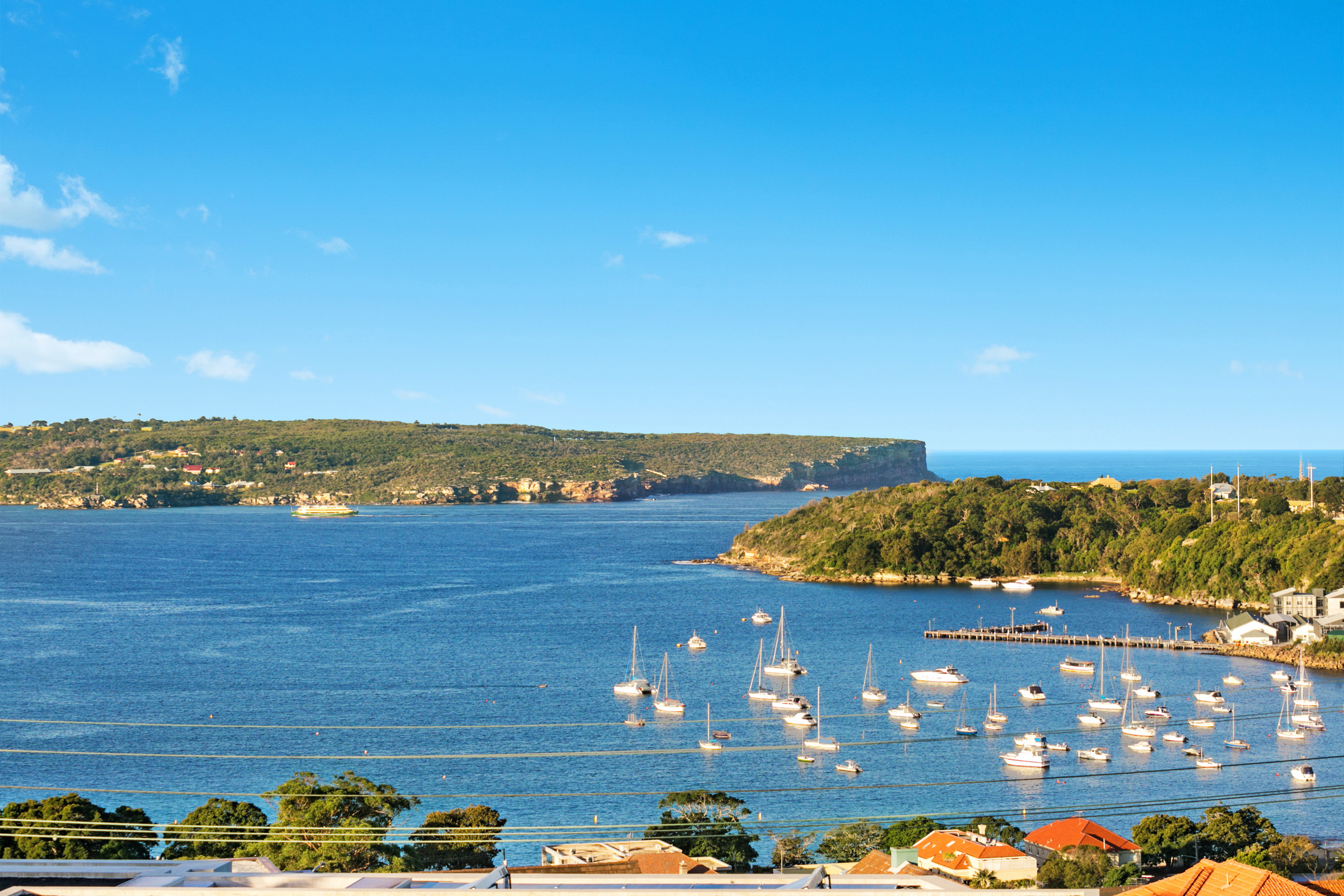 10  Arbutus Street Mosman 2088