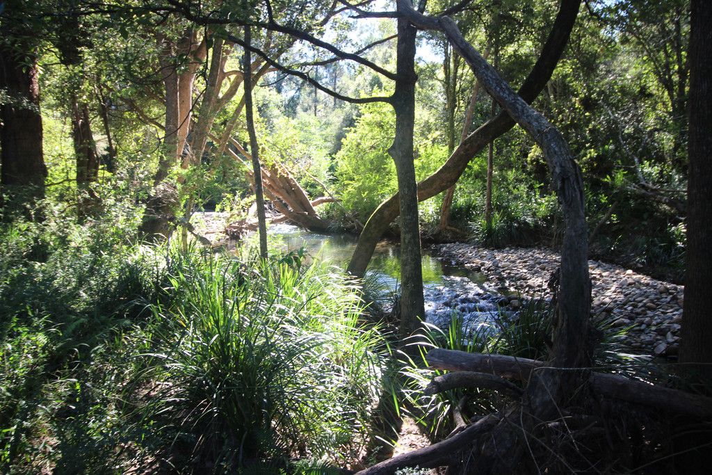 444 Upper Rollands Plains Road, UPPER ROLLANDS PLAINS NSW 2441