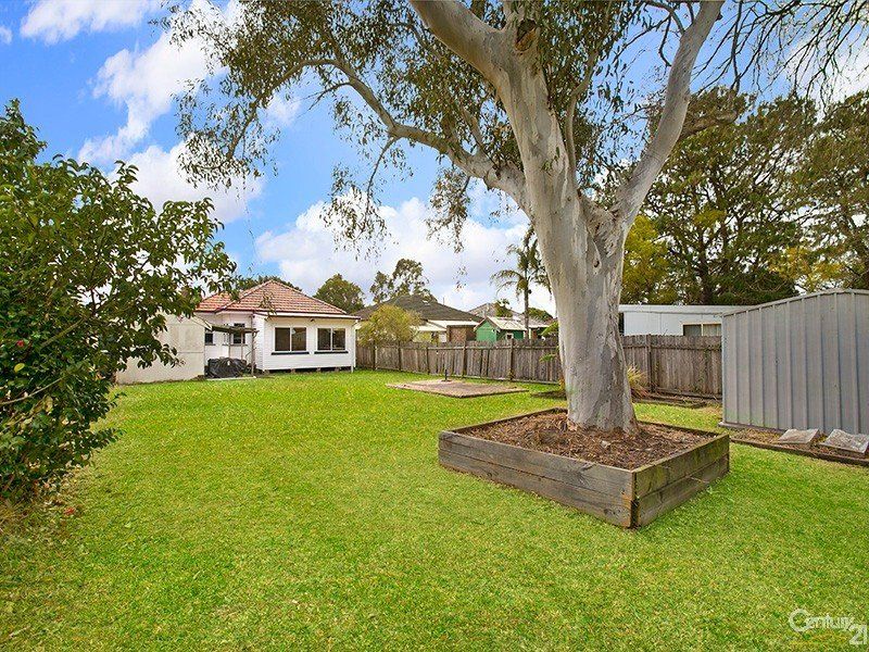 20 Buller Street, JANNALI, Jannali - Thumbnail 5