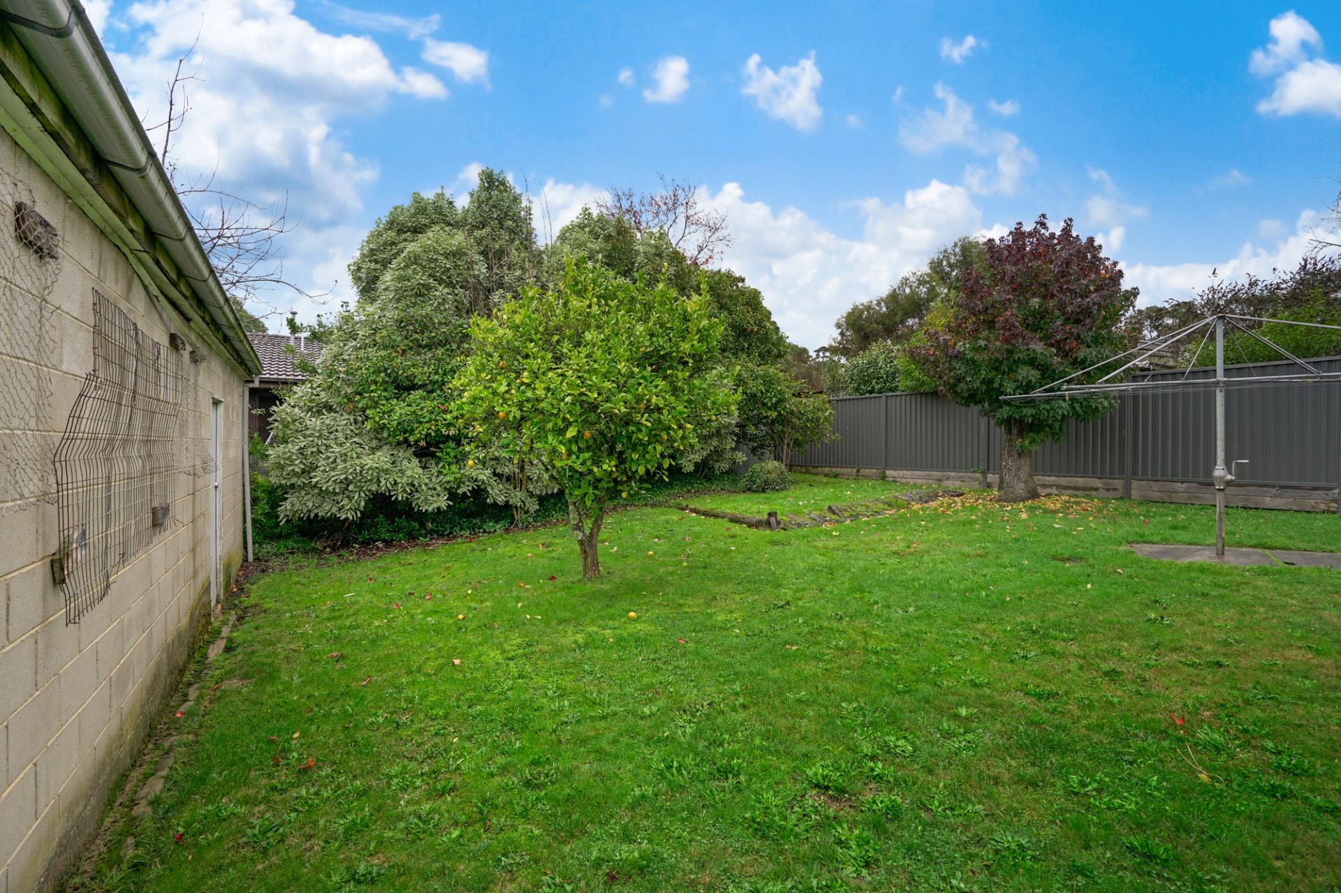 232 Walker Street Ballarat North VIC, Ballarat North - Thumbnail 3