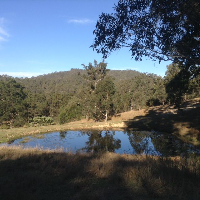 Lot 4 Armidale Road, BELLBROOK NSW 2440