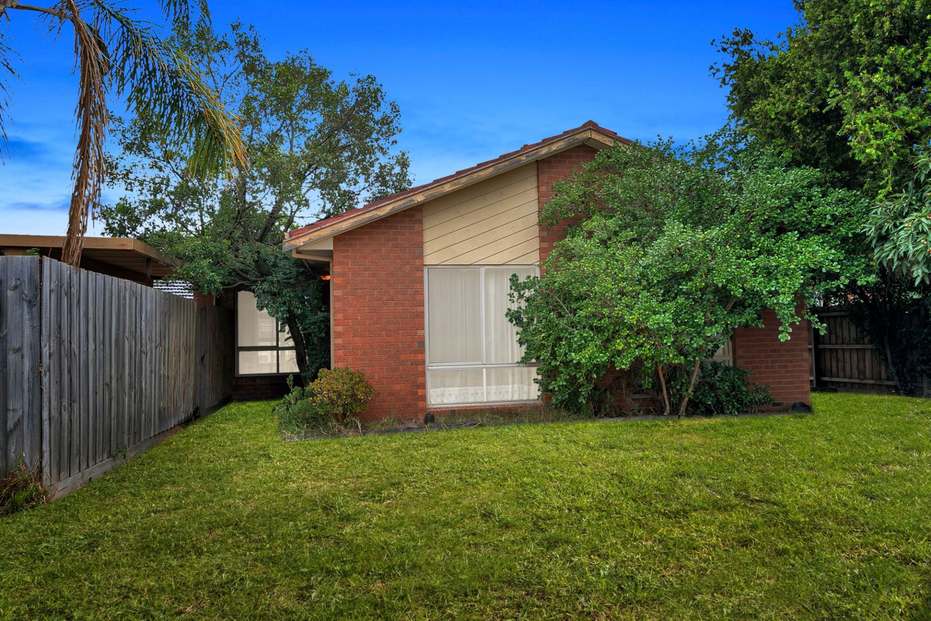 RENOVATORS DELIGHT