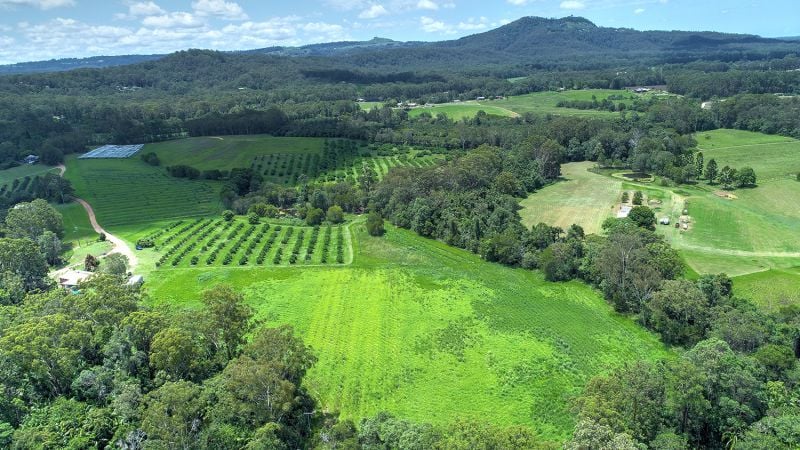 120 Stirling Road Beerwah QLD, Beerwah - Thumbnail 6