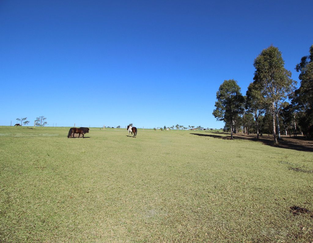 438 Upper Rollands Plains Rd, ROLLANDS PLAINS NSW 2441