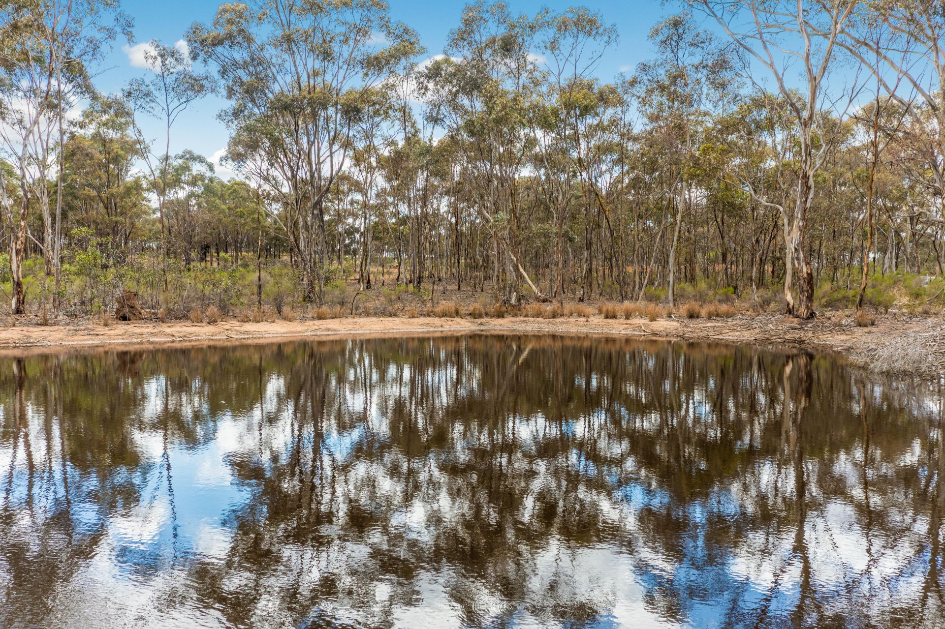 1916 Bendigo Maryborough Road, Shelbourne Bendigo Ballarat Real Estate Pty Ltd
