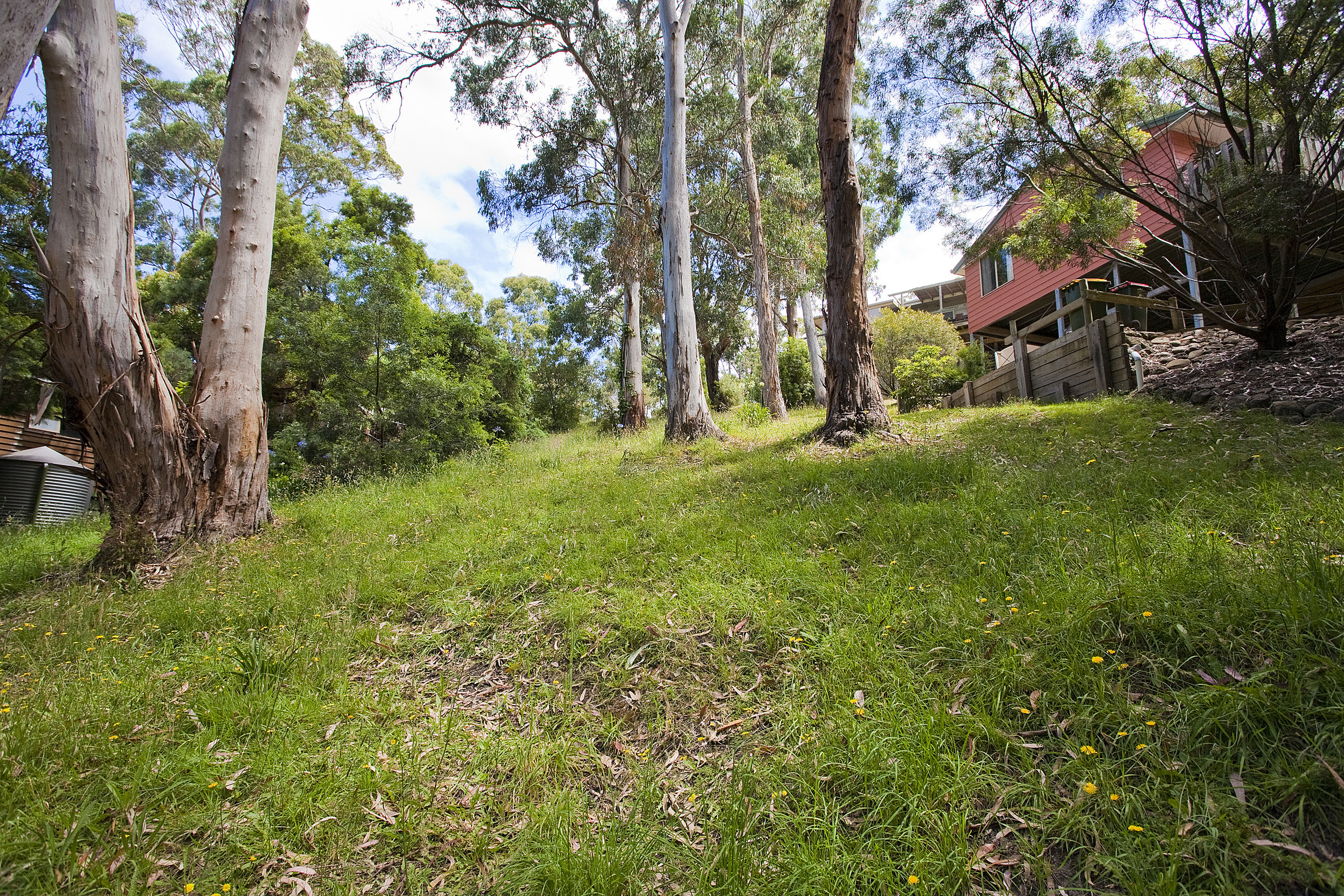 18 Cassidy Drive, Kennett River, VIC, Kennett River - Thumbnail 4