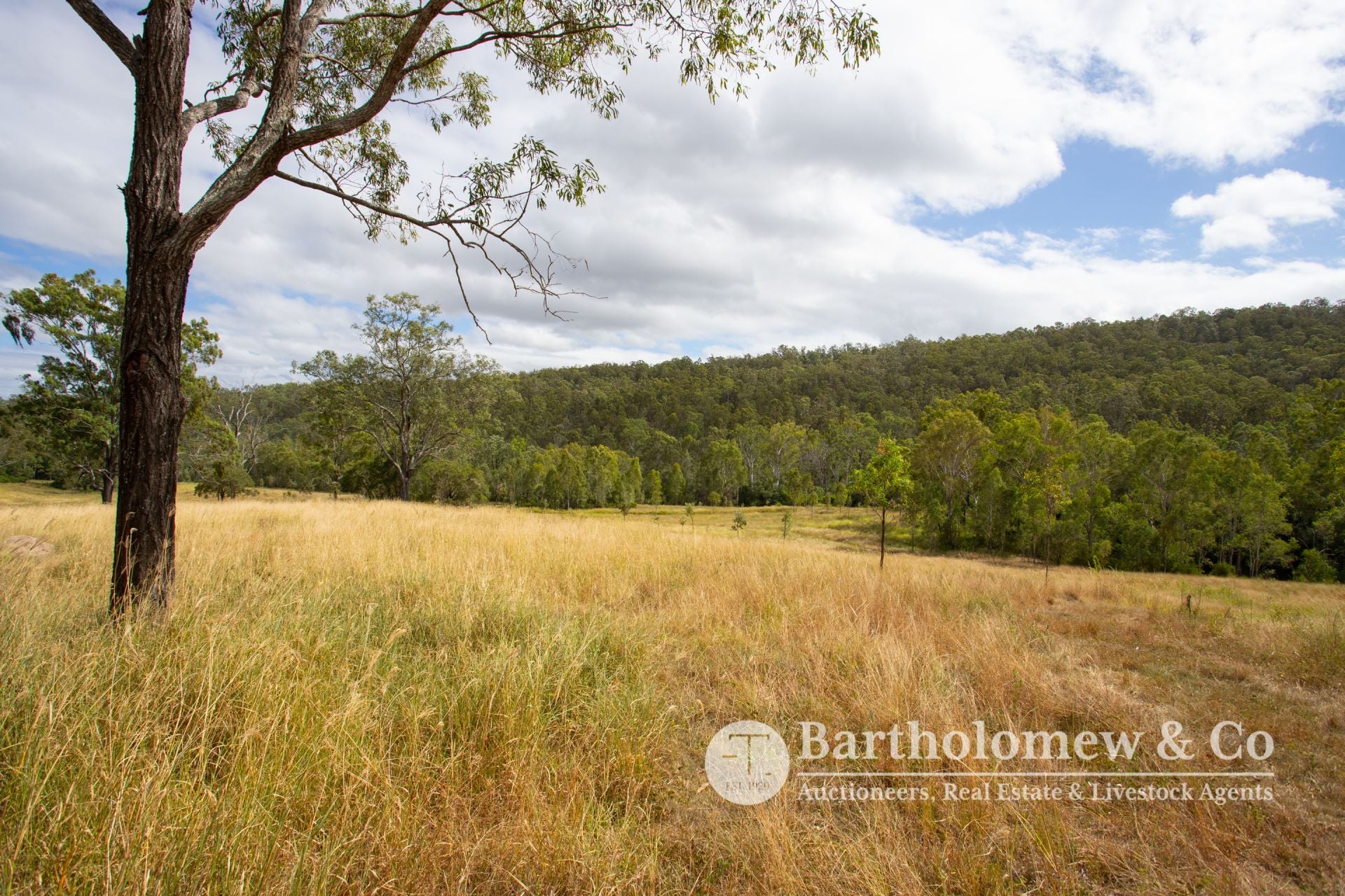 L1/ Schneider Road Allandale QLD, Allandale - Thumbnail 8