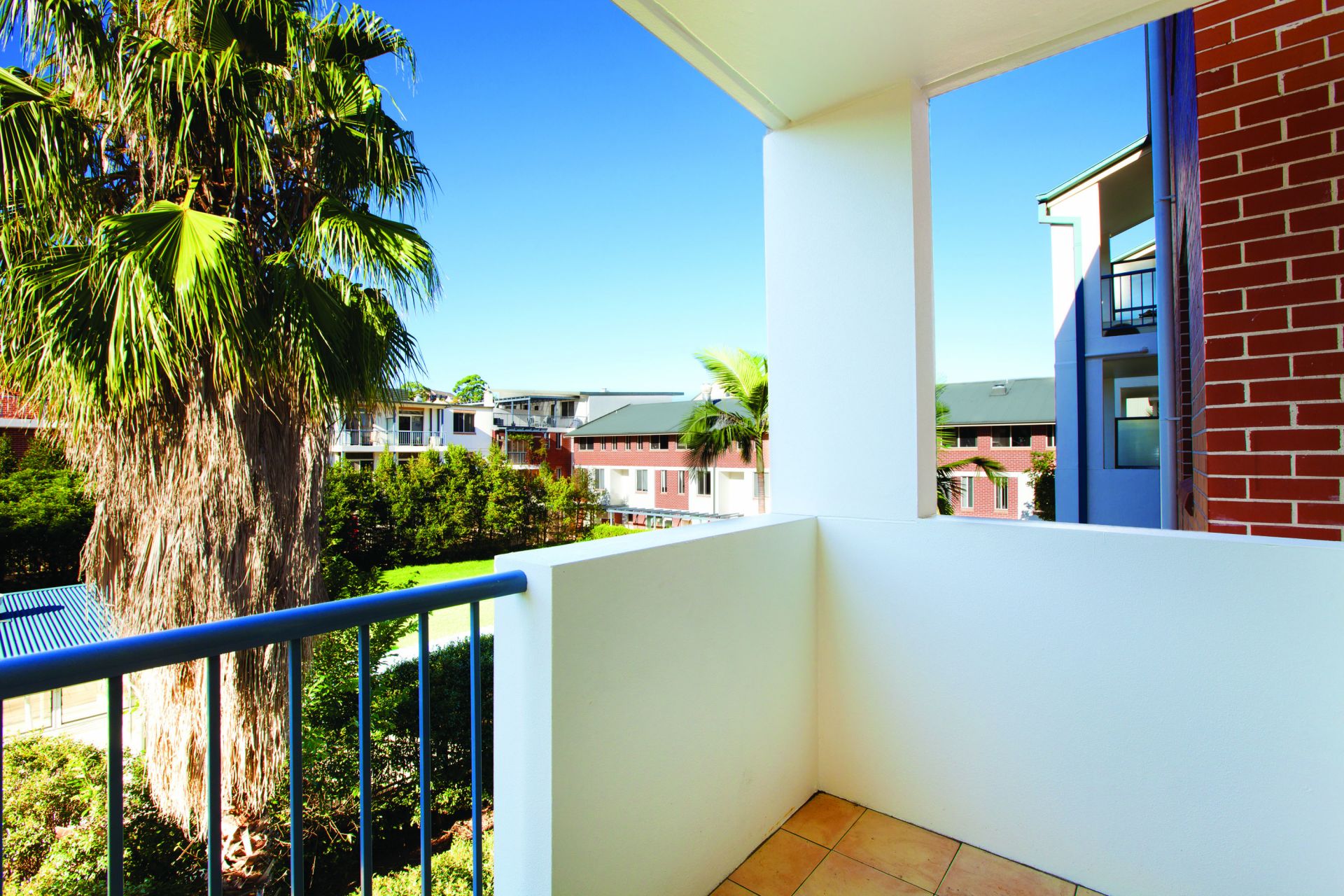 161/20 Buchanan Street Balmain NSW 2041 Apartment for Rent 6563239