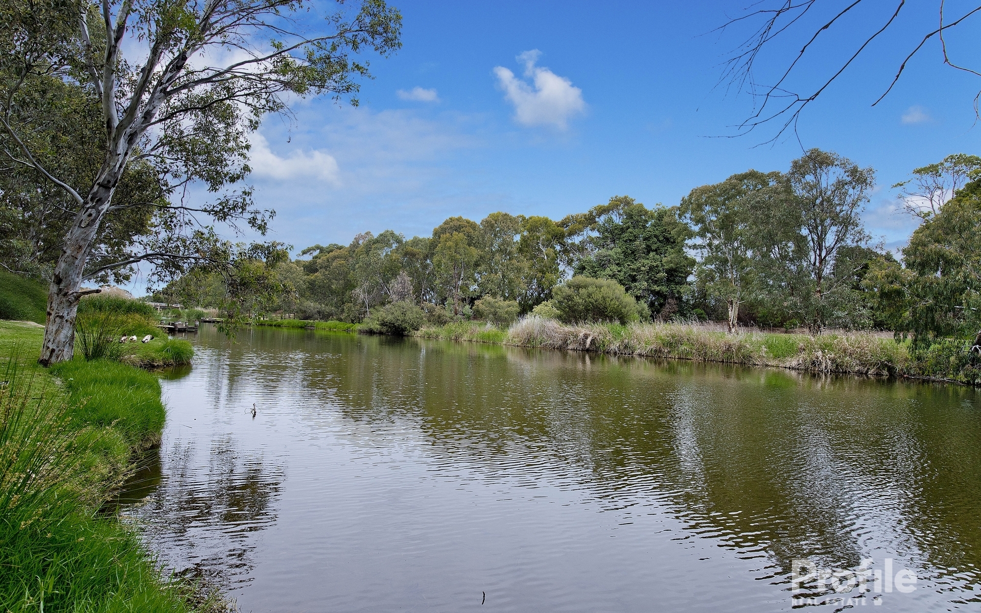 4 Arcoona Avenue Lockleys 5032