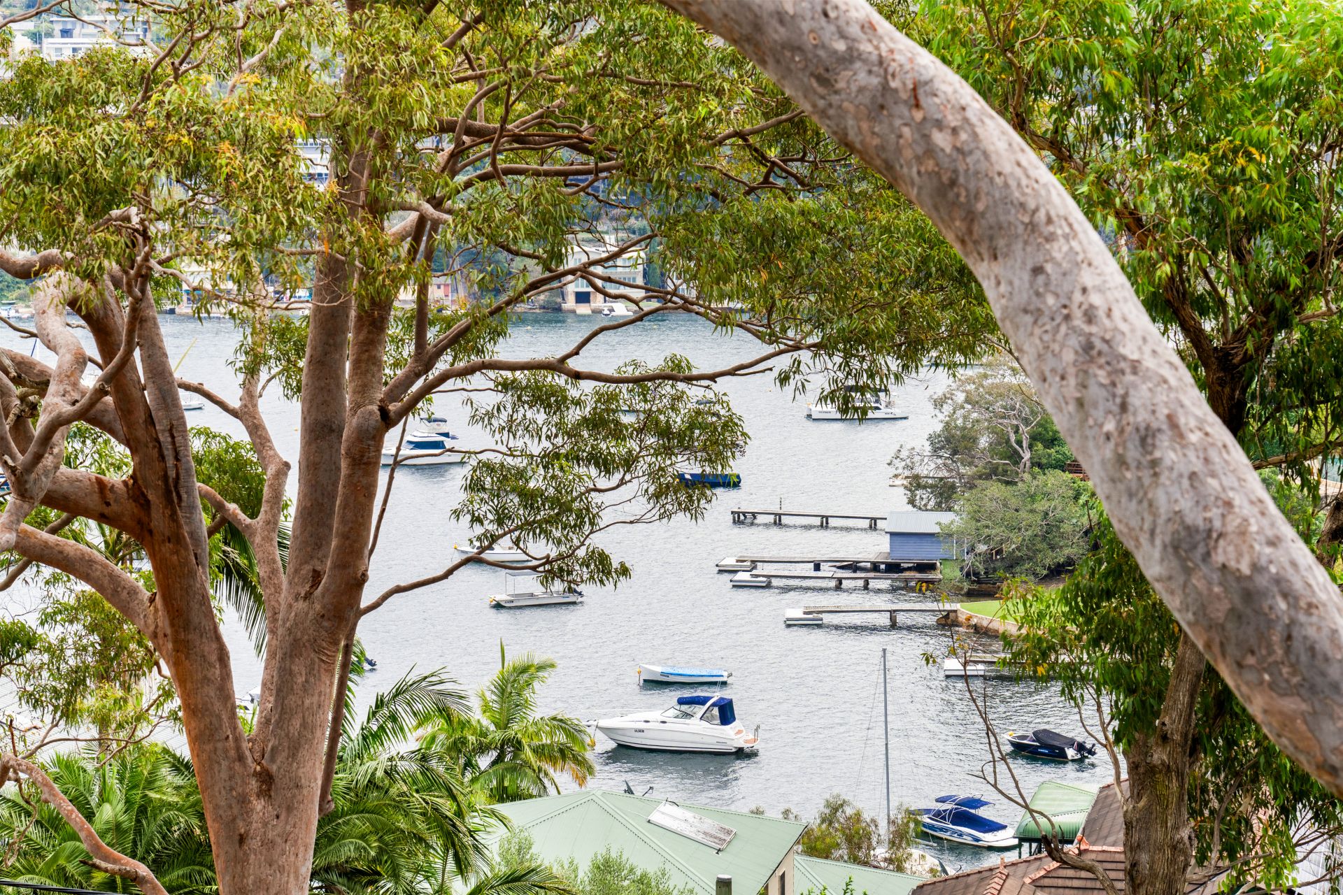 66 Yowie Avenue, Caringbah South NSW, Caringbah South - Thumbnail 2