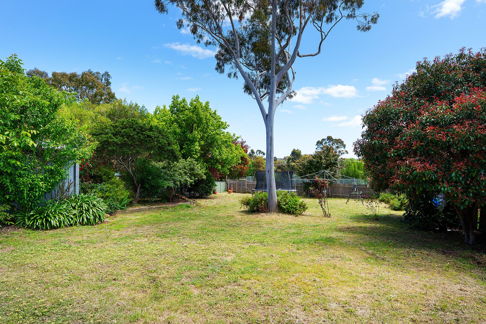 11 Etty Street, Castlemaine Cantwell Property Castlemaine