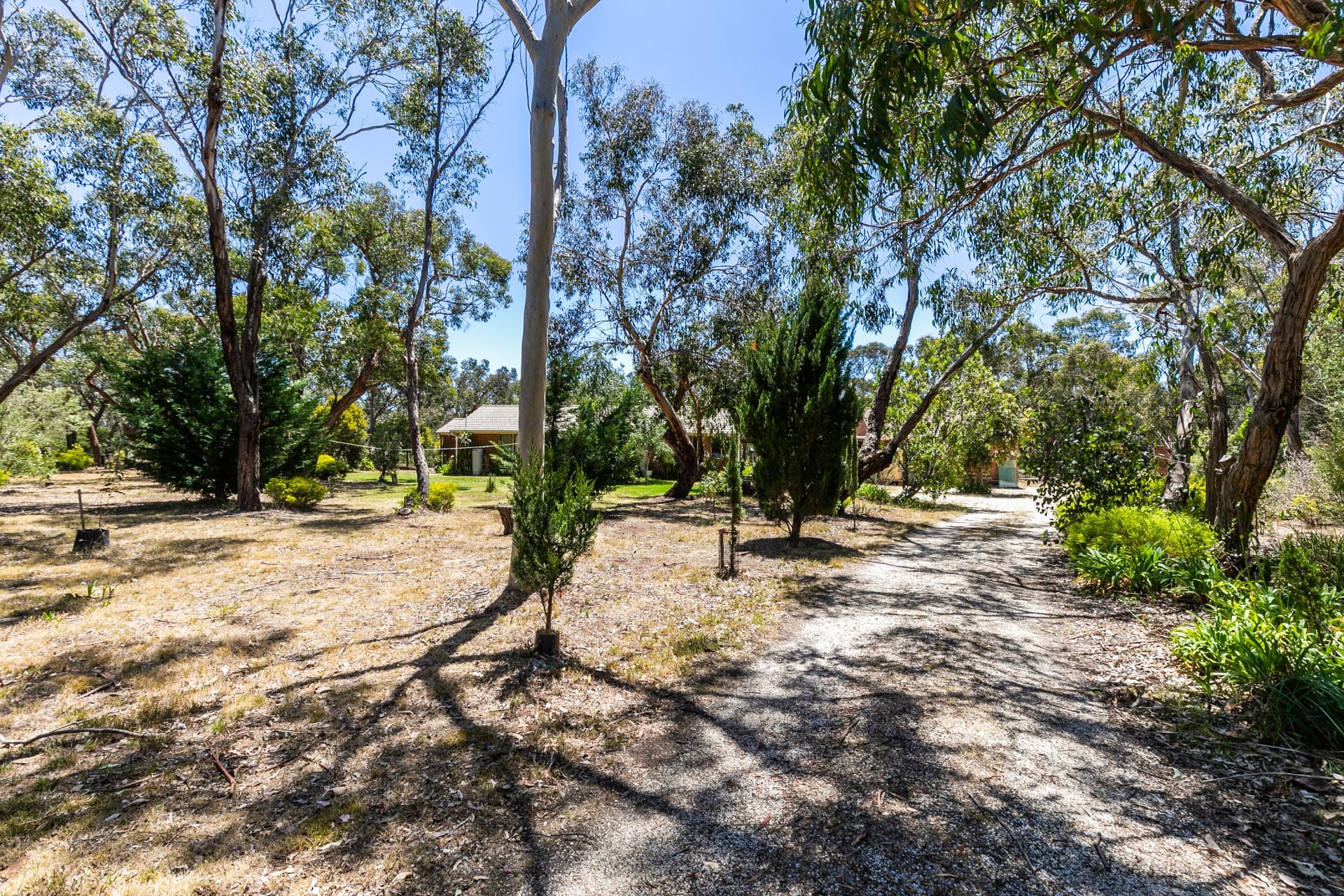 1 Wilkins Street, Anglesea - Thumbnail 7