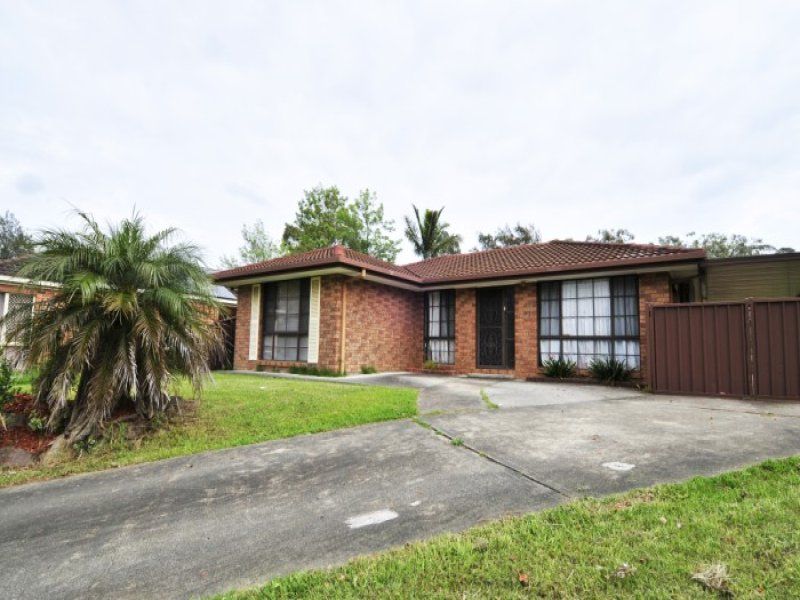 69 Australorp Avenue SEVEN HILLS NSW, Seven Hills - Thumbnail 4
