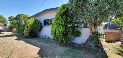 12 Wilmot Street, Port Sorell, Port Sorell - Thumbnail 3