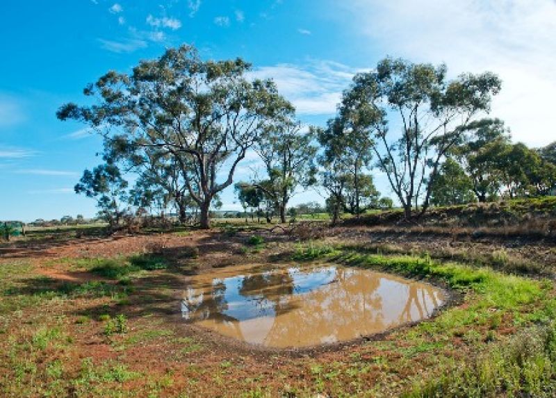 144 South Maddingley Road, Bacchus Marsh - Thumbnail 3