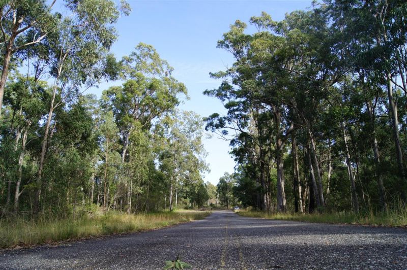 Real Estate For Sale 319 Dirty Creek Road Dirty Creek , NSW