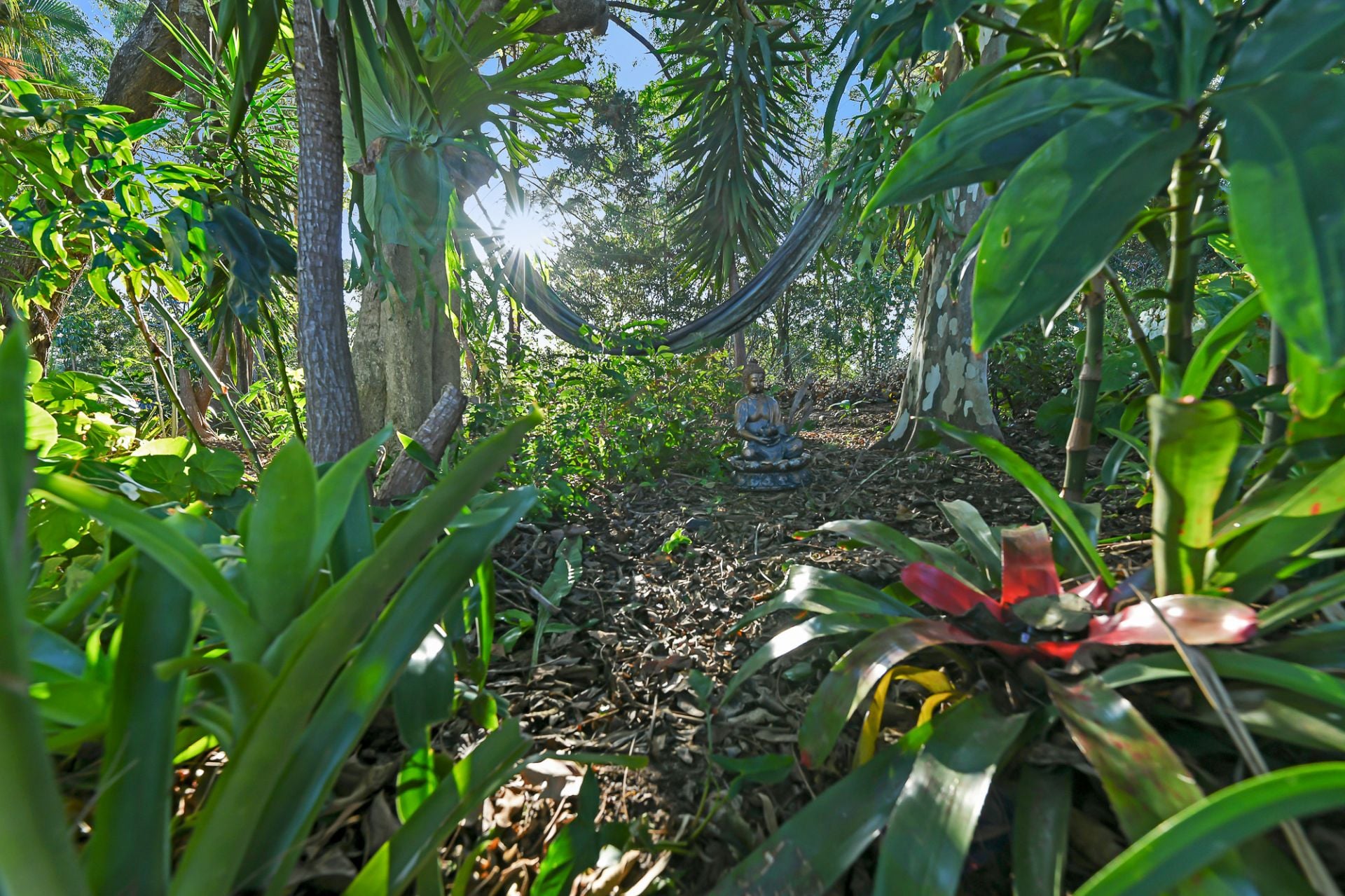 10 Buena Vista Road Woombye QLD, Woombye - Thumbnail 5