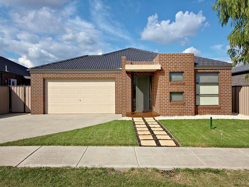 6 Wills Terrace, Burnside Heights - Thumbnail 2