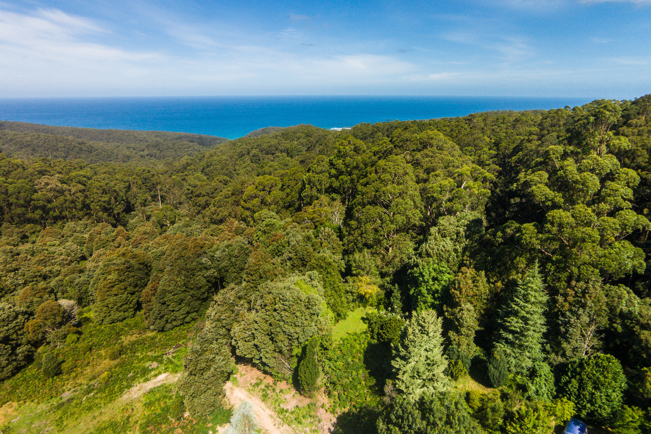 290 Kennett Road, Kennett River, VIC, Kennett River - Thumbnail 7