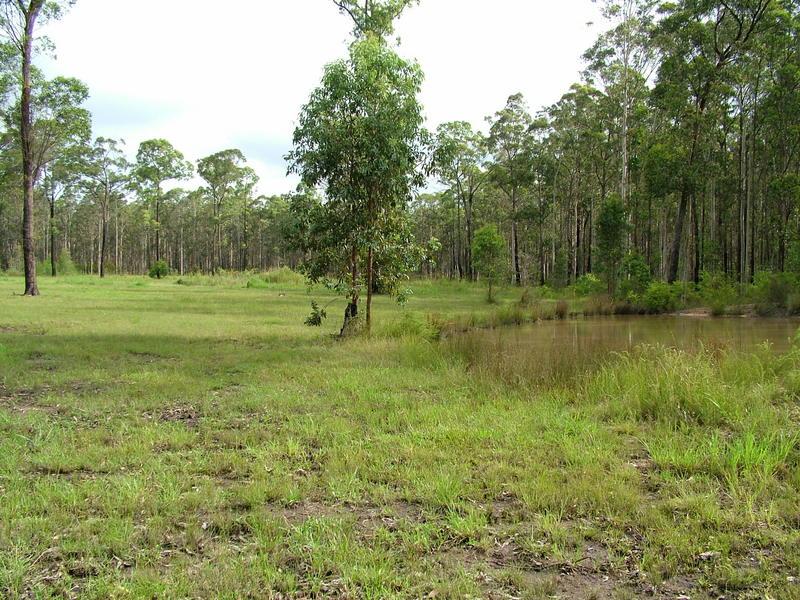 Real Estate For Sale WOODS Road Craven , NSW