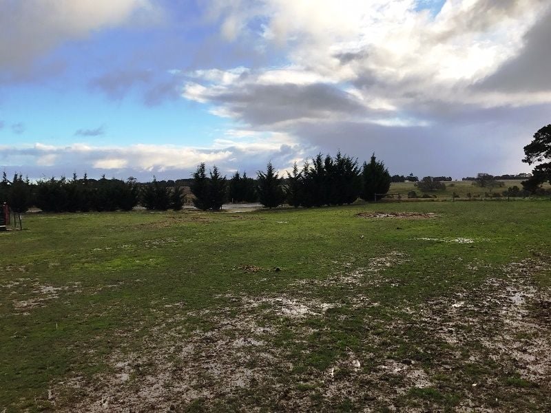 10A Gingella Court, Ballan - Thumbnail 4