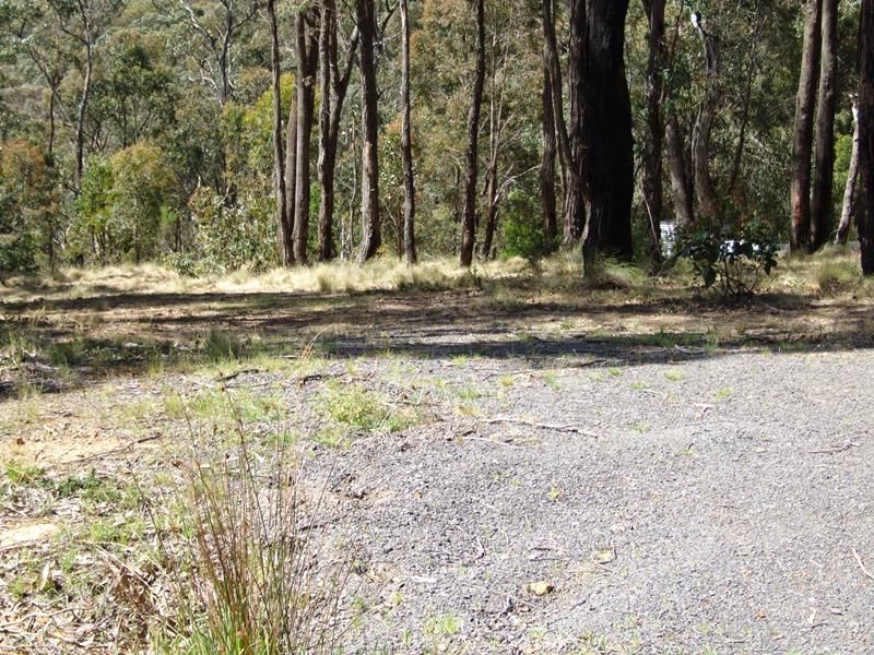 74 Acacia Avenue, Dales Creek - Thumbnail 3