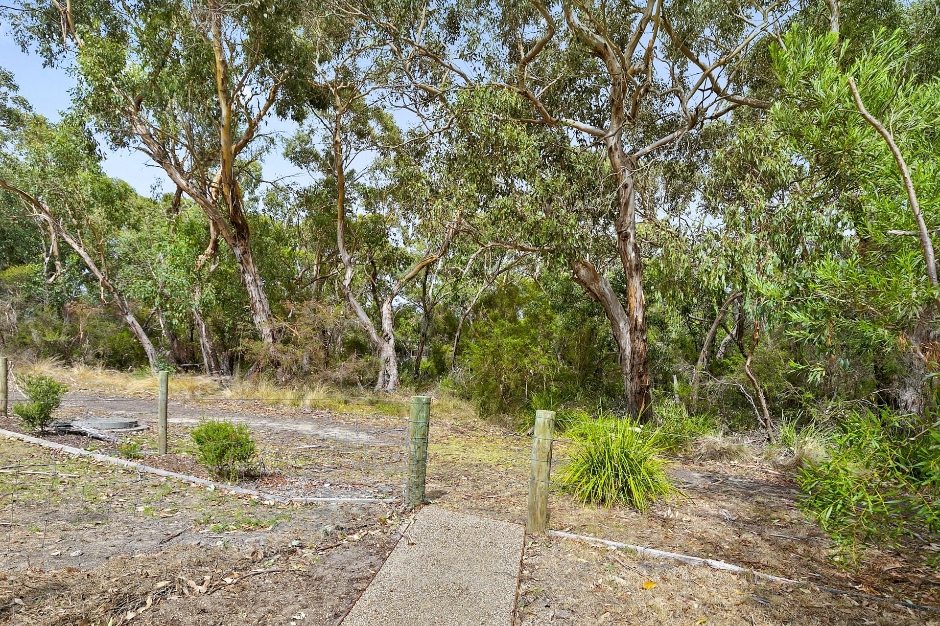 10 Chatswood Drive, Anglesea - Thumbnail 3