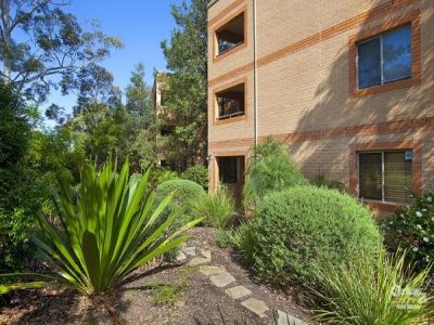 24/506 Pacific Highway LANE COVE NORTH NSW, North - Thumbnail 5