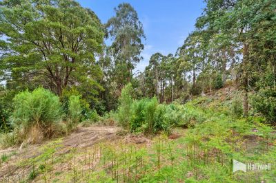 197 Grandview Drive, South Spreyton, South Spreyton - Thumbnail 7