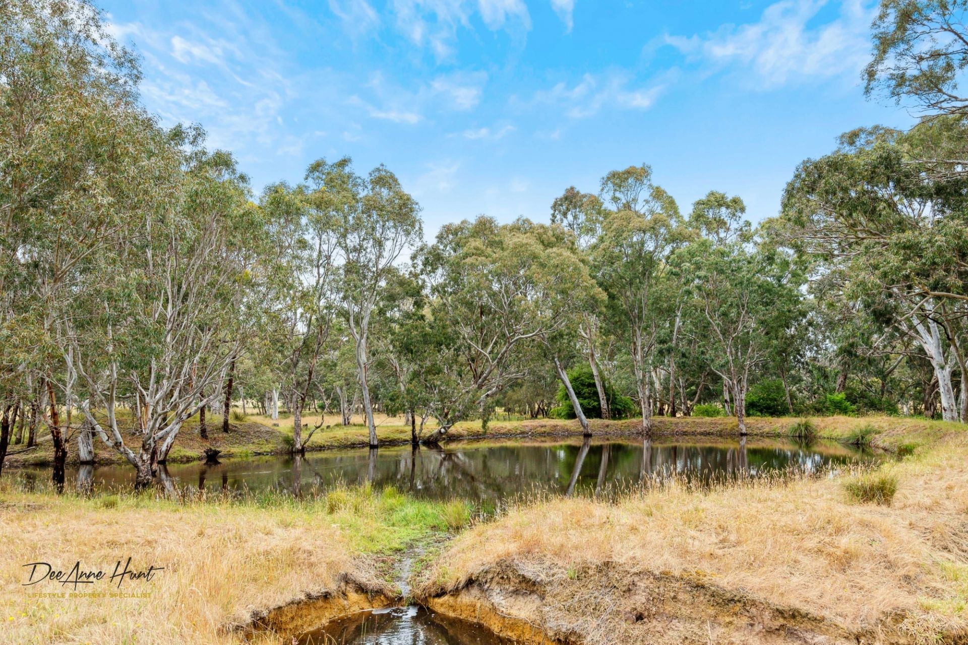 39 Hammersmith Drive, Meadows Williams Real Estate