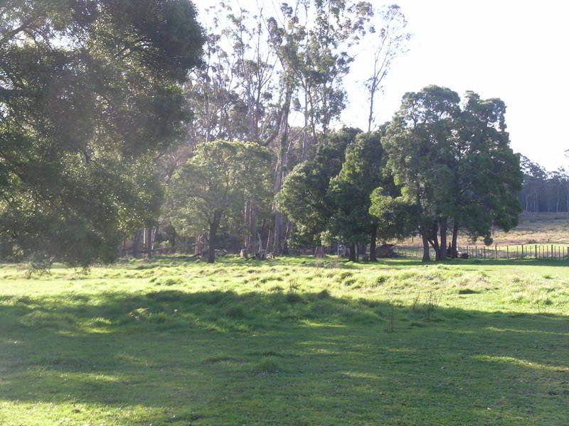 1
 
 
 
  
 
 
 1
 
 
 
 
 
 
 
 
 37 Native Rock Road, RAILTON TAS 7305, Railton - Thumbnail 6