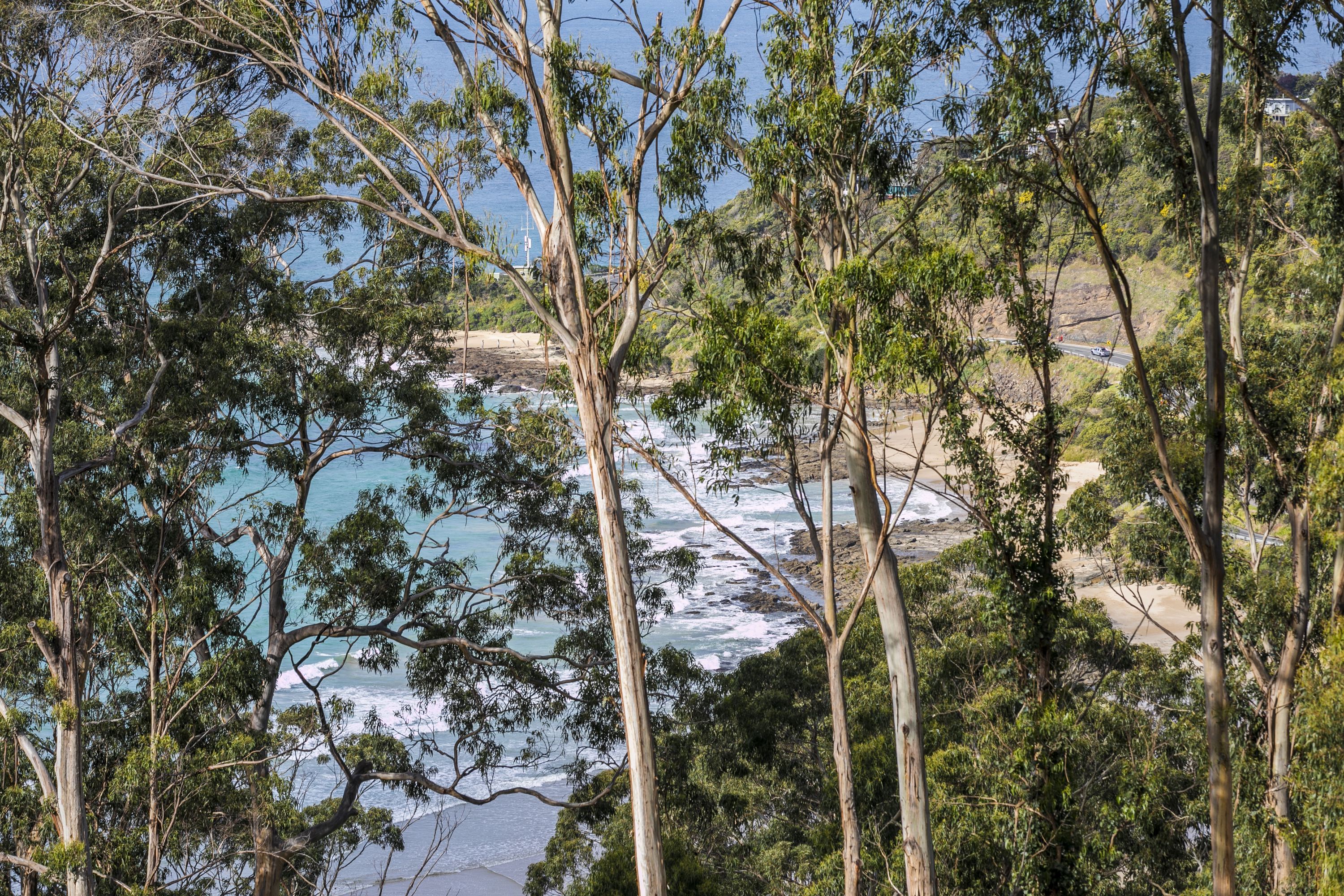 50 Karingal Drive WYE RIVER VIC, Wye River - Thumbnail 3
